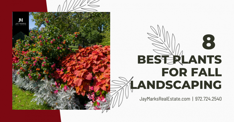 Best Items to Plant for Your Fall Landscaping